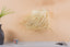 Fringed straw lampshade