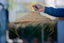 Umbrella-shaped suspension in braided natural fiber doum straw