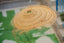 Umbrella-shaped suspension in braided natural fiber doum straw