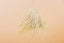 Straw suspension - natural fibers - Boho