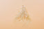 Straw suspension - natural fibers - Boho