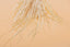 Straw suspension - natural fibers - Boho